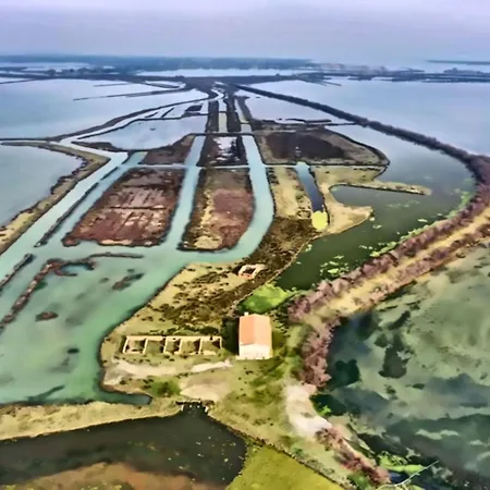 Poolside Getaway-beahost Rosapineta